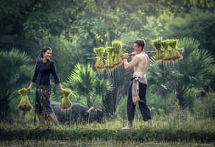 Lễ hội Phan Rang - Hành trình văn hóa truyền thống Việt Nam mà du khách sẽ phải  第1张